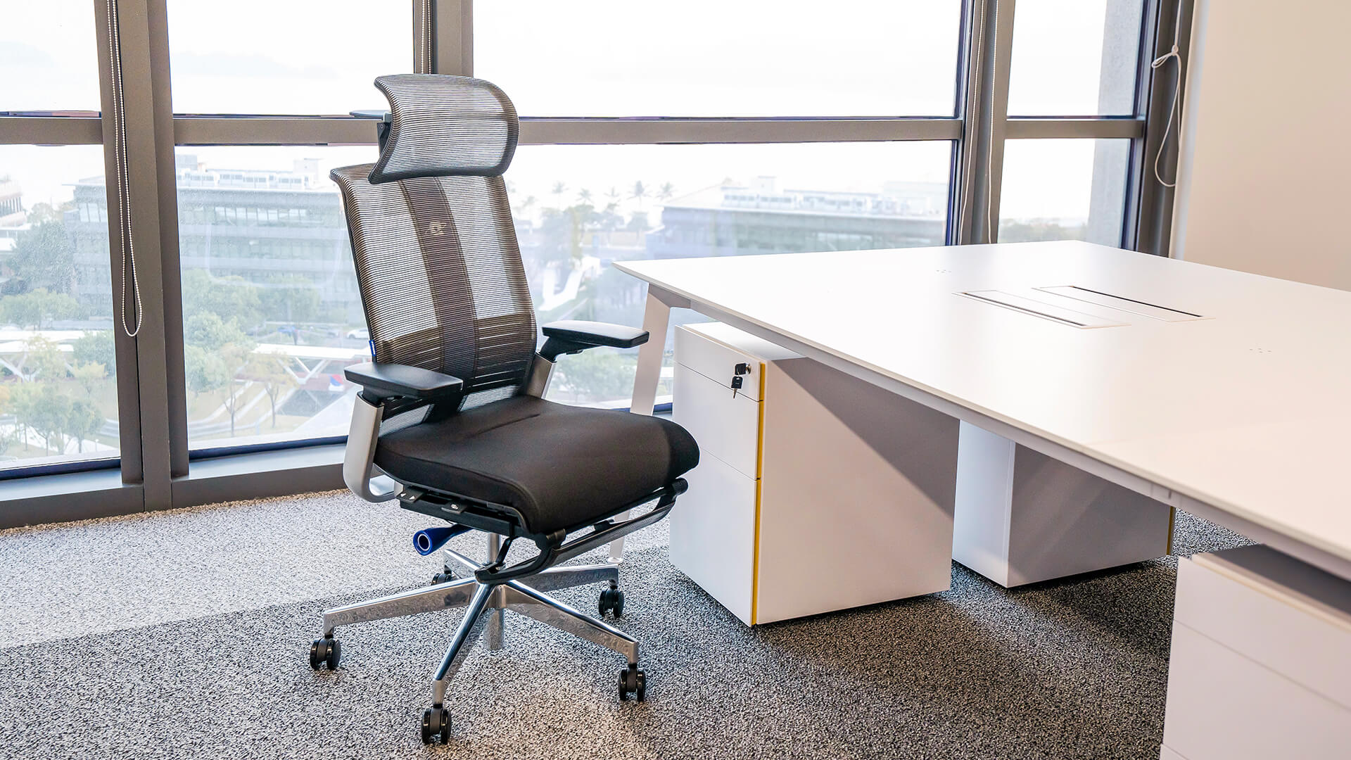 Ergonomic Chair
