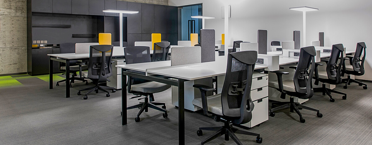 Staff Workstations