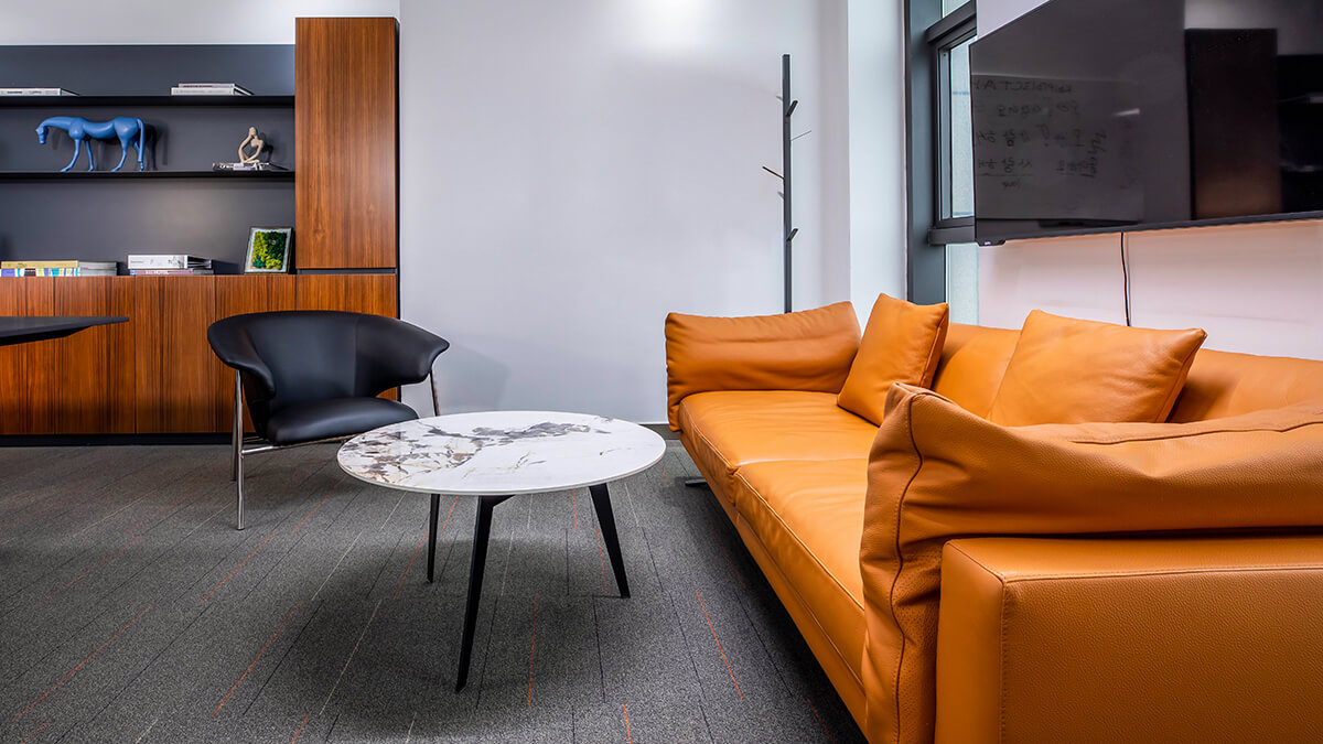 Modern Design Sofa