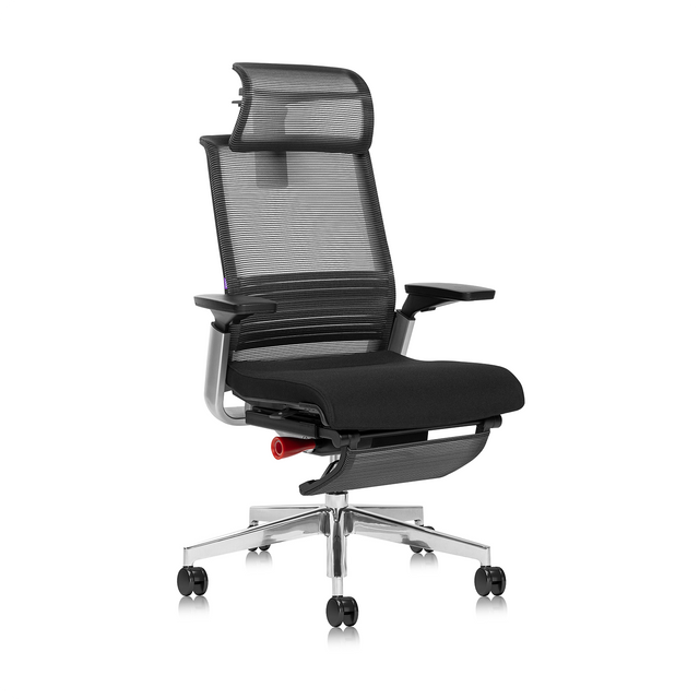 Premium Black Nylon Breathable Mesh Ergonomic Office Chair