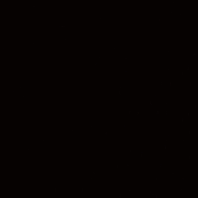 MDF-2004.jpg