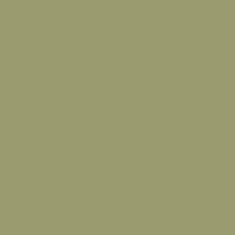 Fresh-Olive.jpg