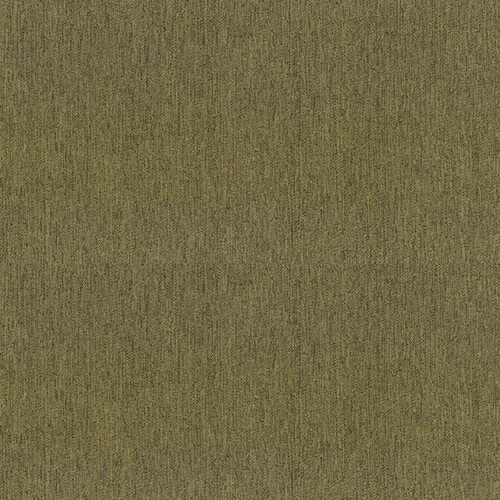 15225018.jpg