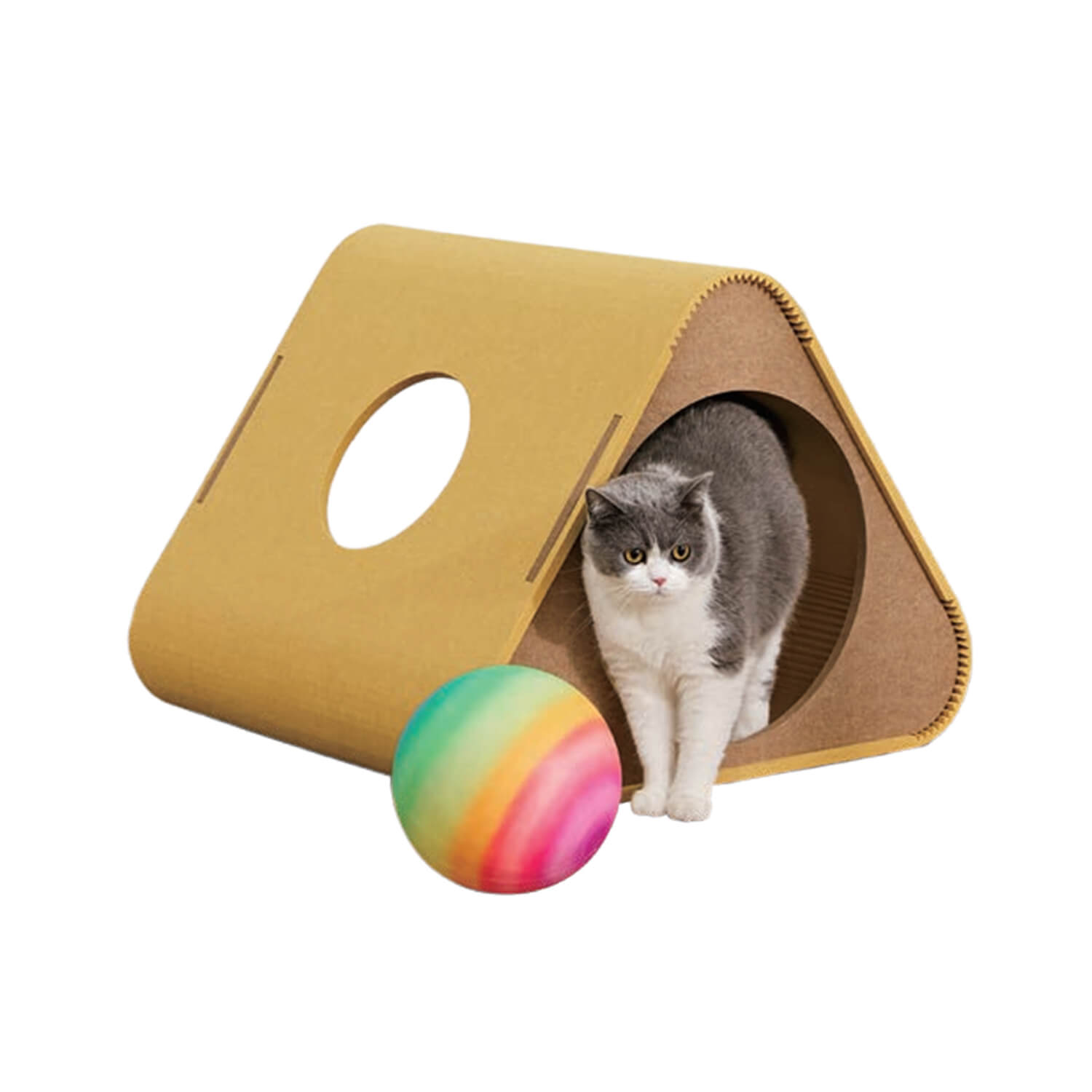 Designer Cat Habitat.jpg