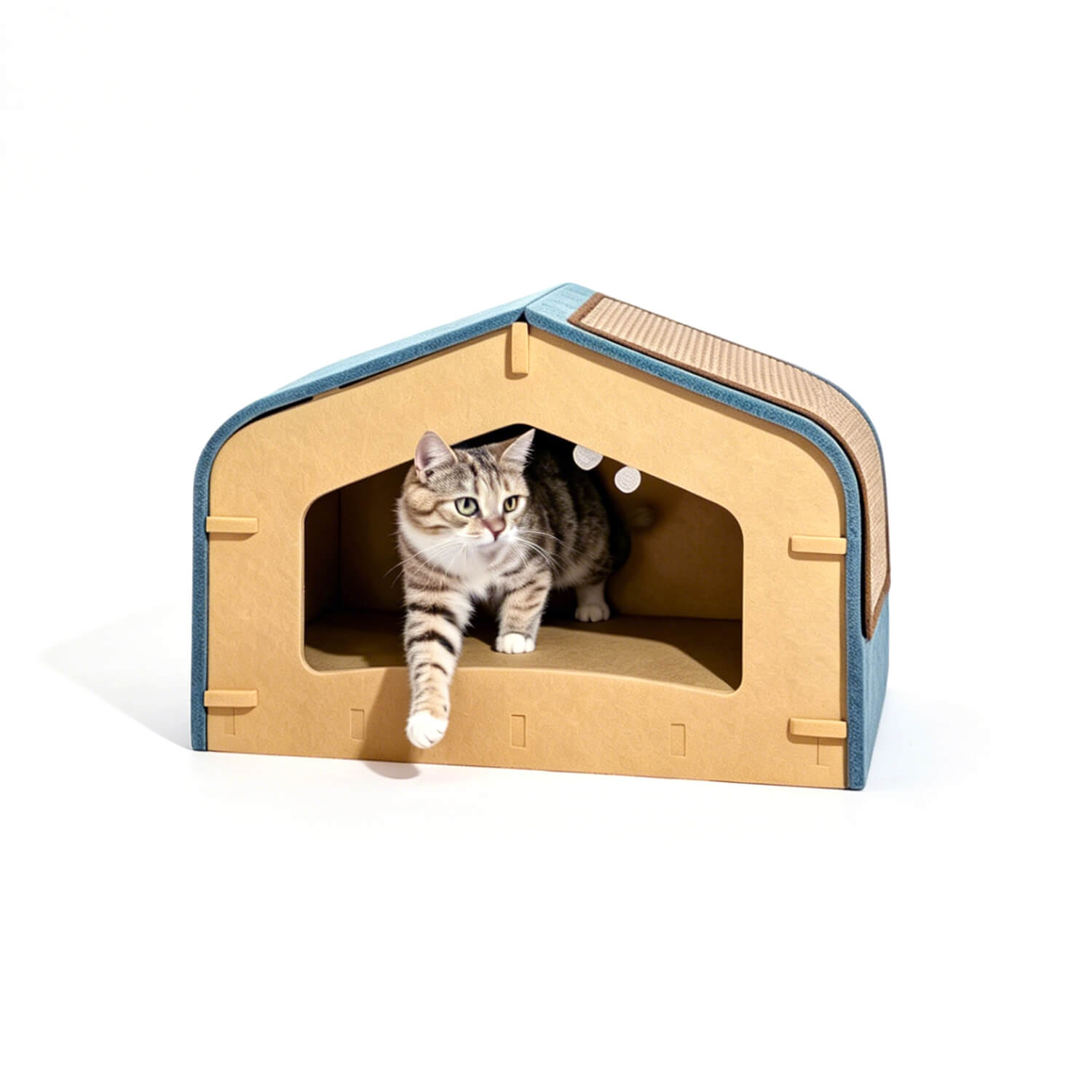 Eco-Pet Sanctuary.jpg