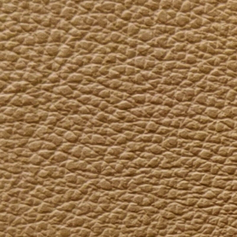 LR001.jpg