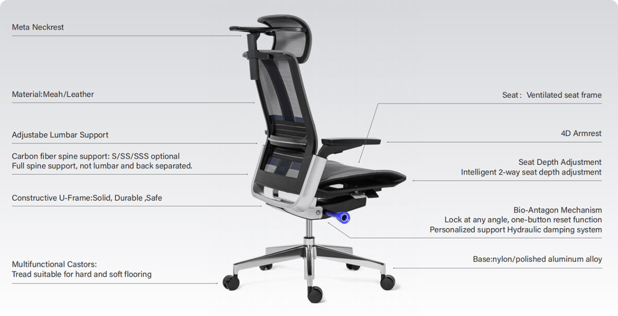 Structure of the Ergonomic Chair