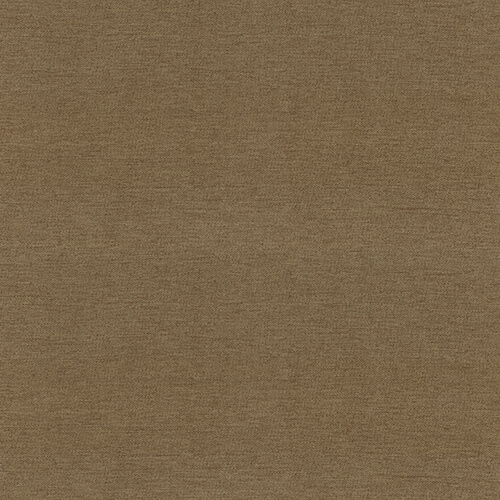 15815530.jpg