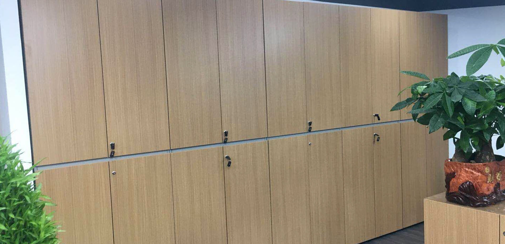 Tailor-made Storage Solutions.jpg