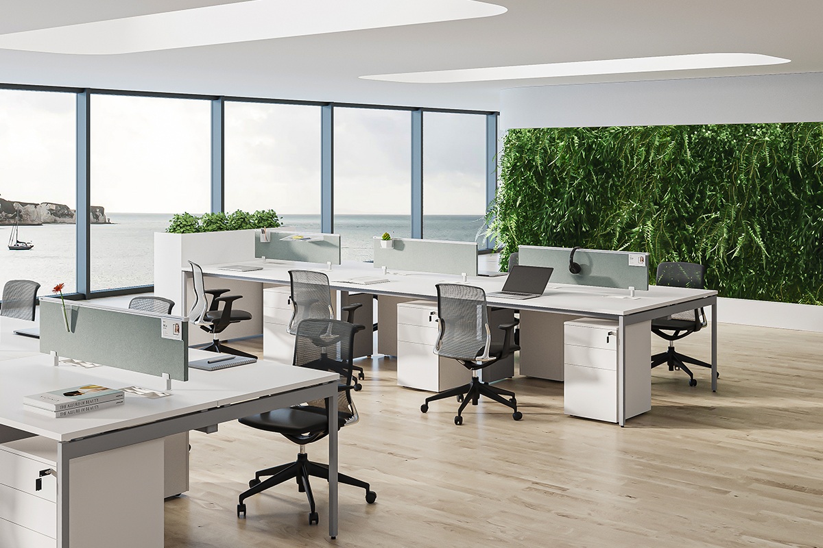 Commercial office reception and workstation area