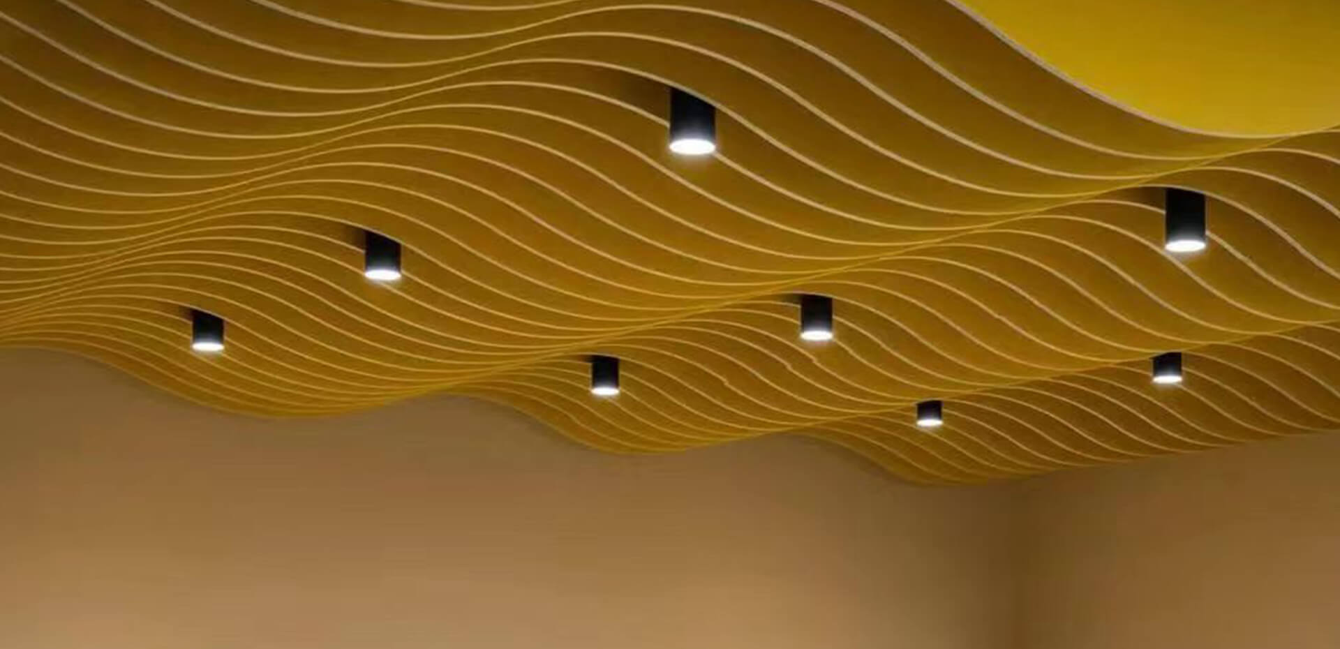 Acoustic Ceiling Solution.jpg