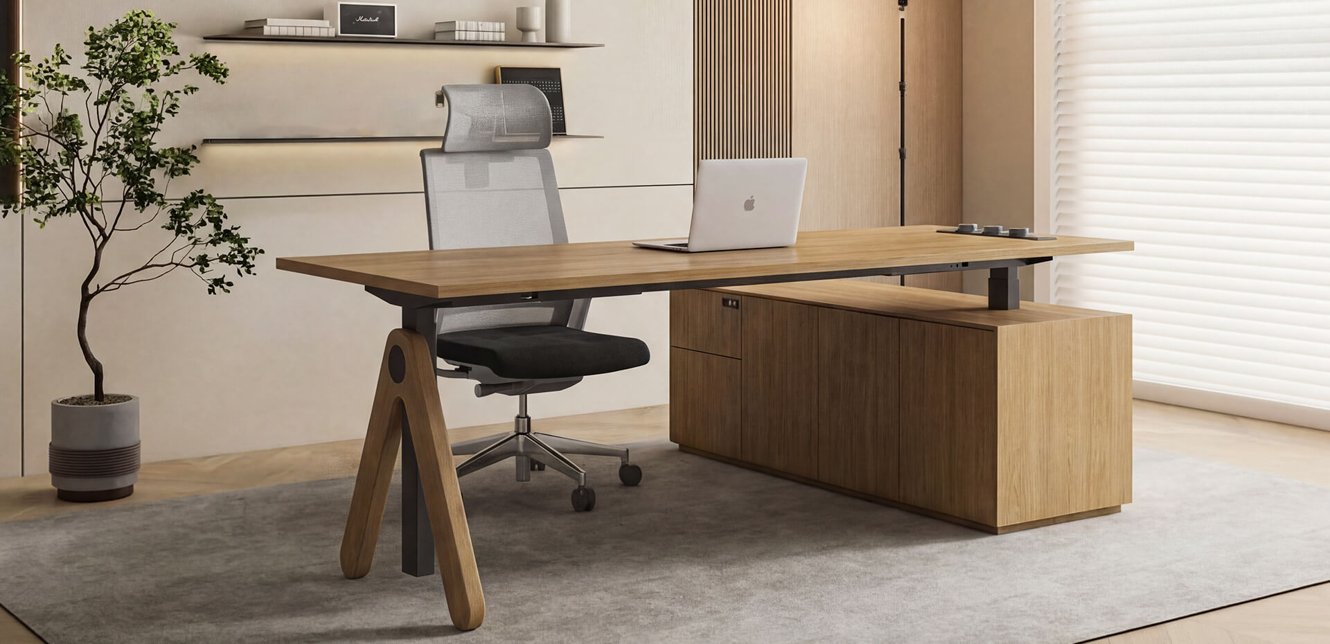 CEO Desk.jpg