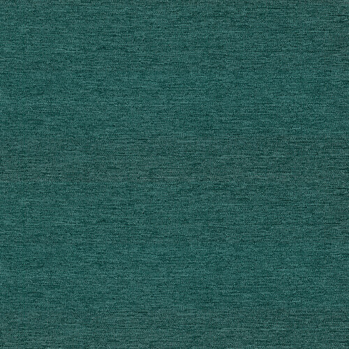13725058.jpg