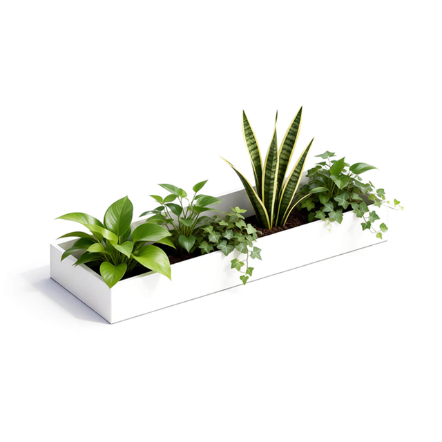 Metal Powder Coated Office Planter Box 3 个关键词